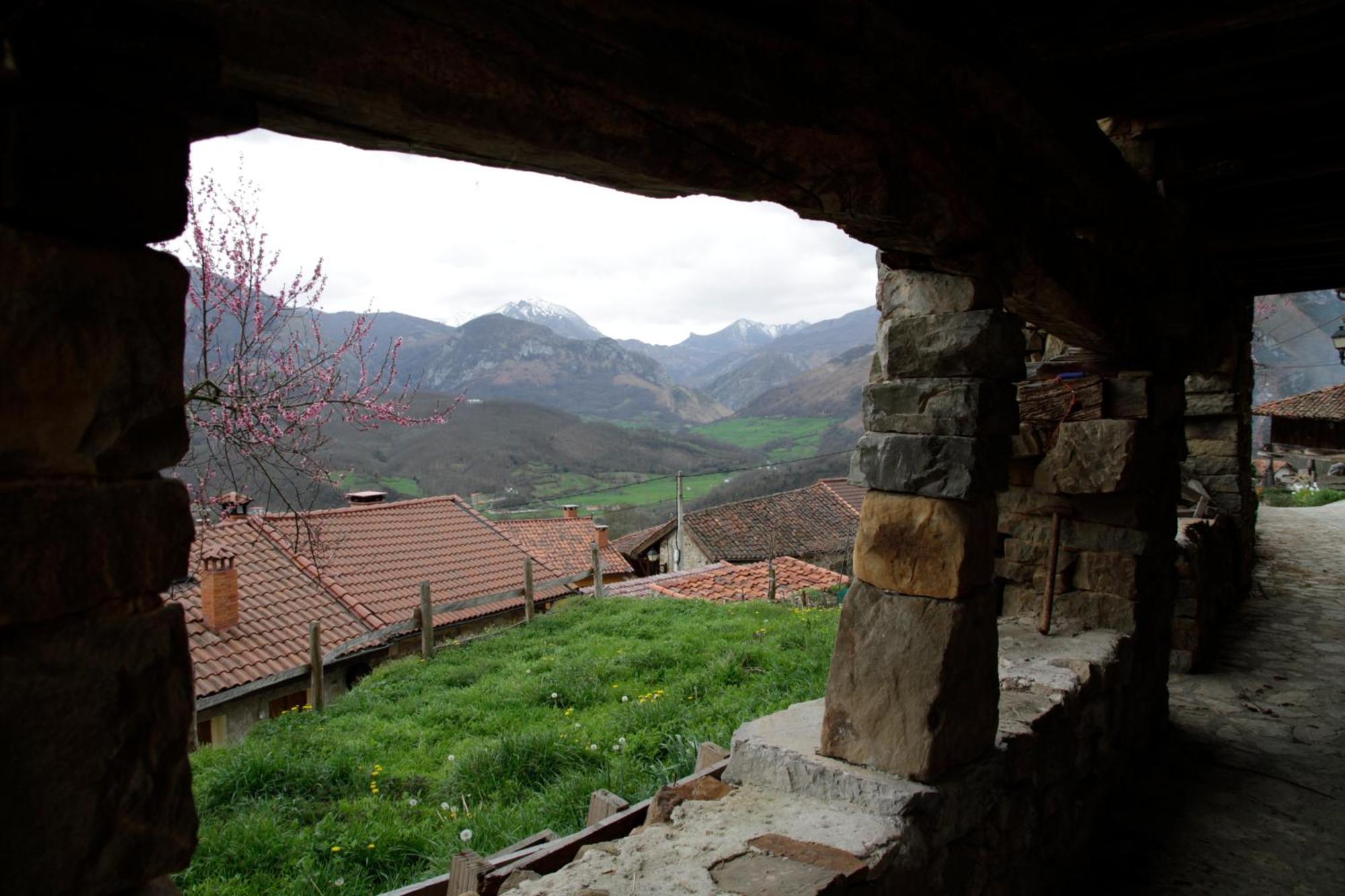 Apartment Rurales El Collain De *