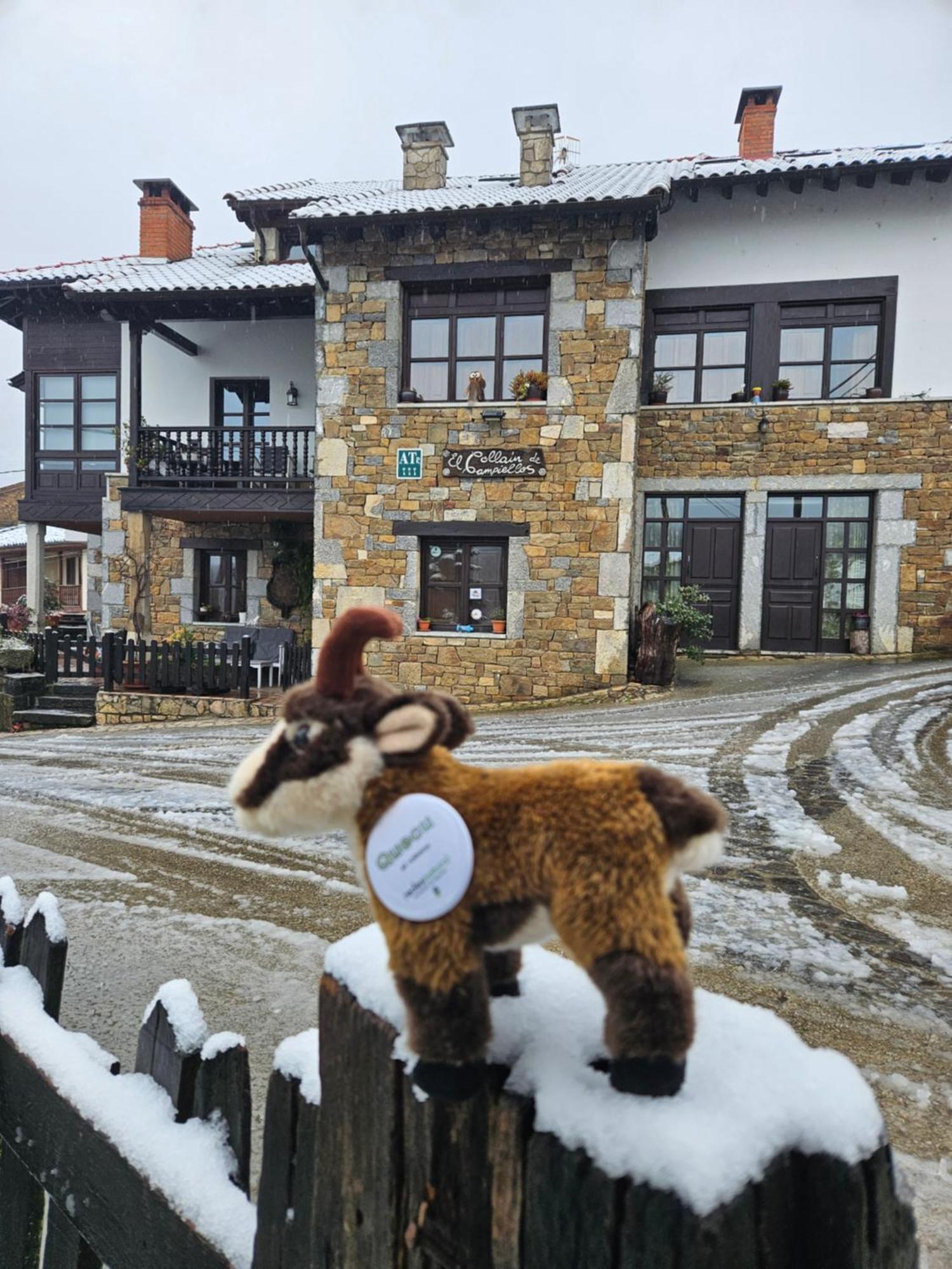 Rurales El Collain De Campiellos